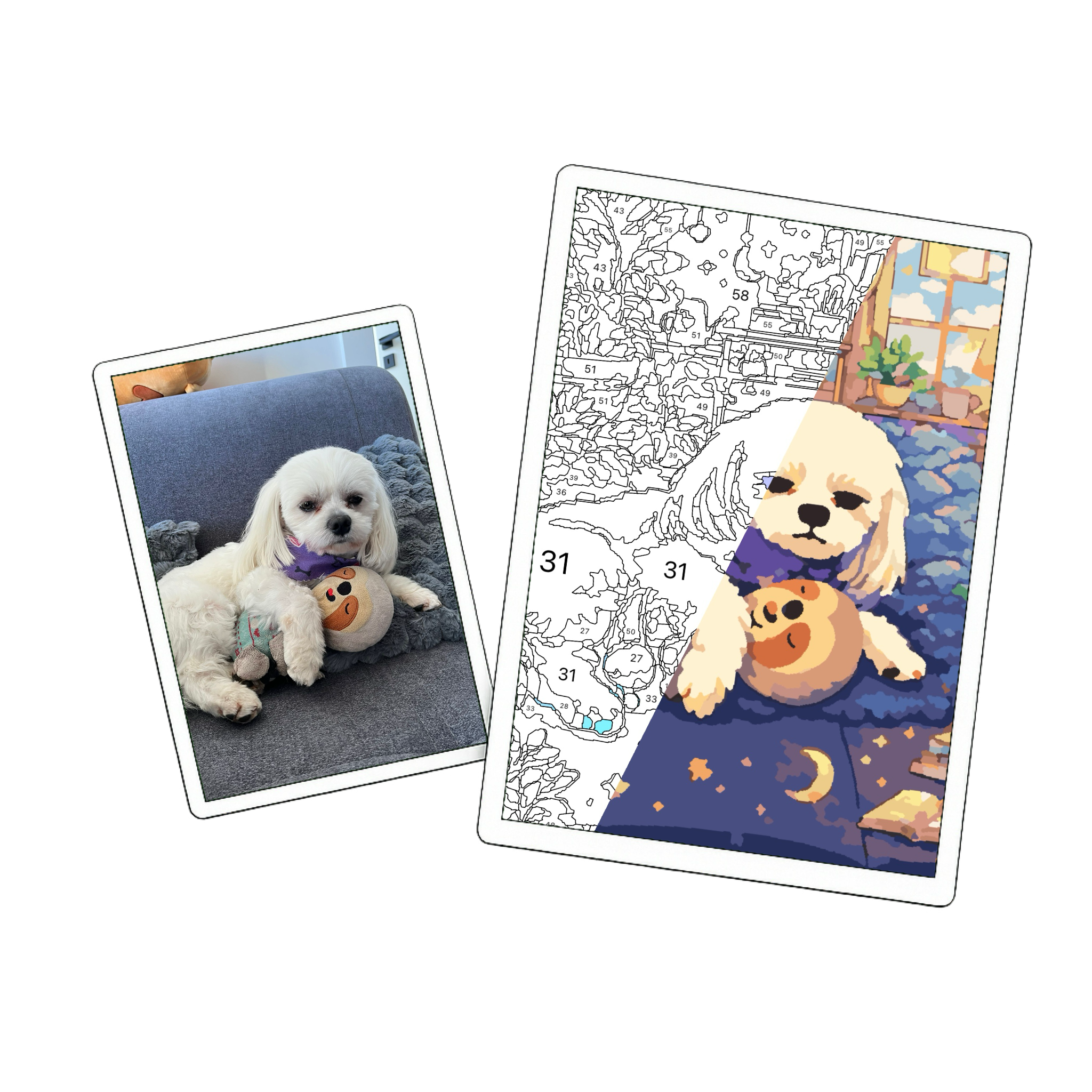 Before and after: photo becomes a paint-by-numbers template